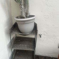 Outdoor plant stand/ tool shelf