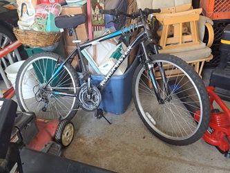 10 speed bike Roadster