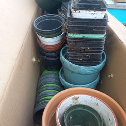 Pots For Plants