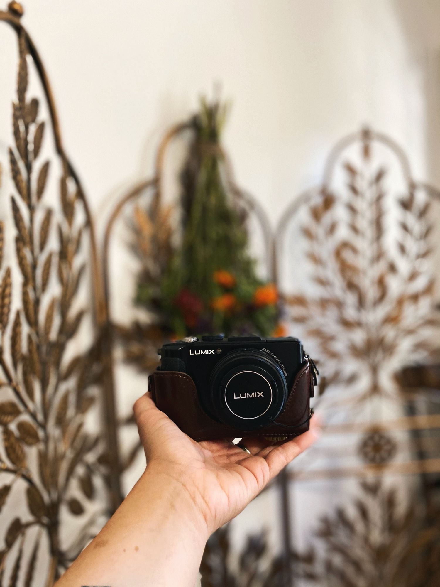 Panasonic Lumix DMC-LX7 Digital Camera - Black (with battery, charger, & leather case)