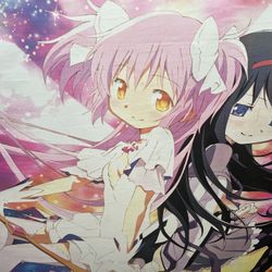 Madoka And Homura 