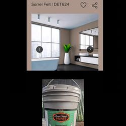 Exterior Flat Paint (Dunn Edwards)