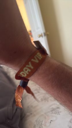 Daytrip longbeach VIP wristband (2) $200 sunday