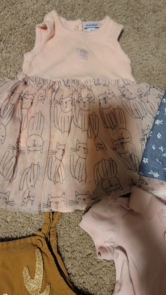 Baby Girl Size 12 Month Clothing Lot