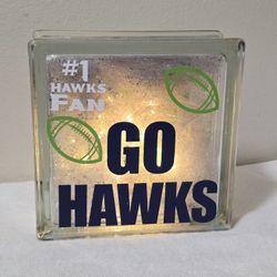 Seattle Seahawks Christmas Glass Block LED Light Display #12 Fan Go Hawks