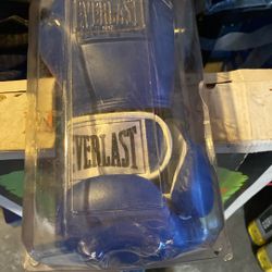 Everlast boxing gloves