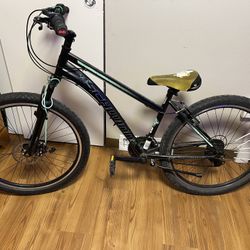 26 Inch Mountain Bike