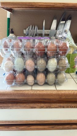 Fresh Eggs