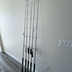 Shimano Tallus PX Fishing Rod
