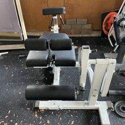 Leg Curl Machine