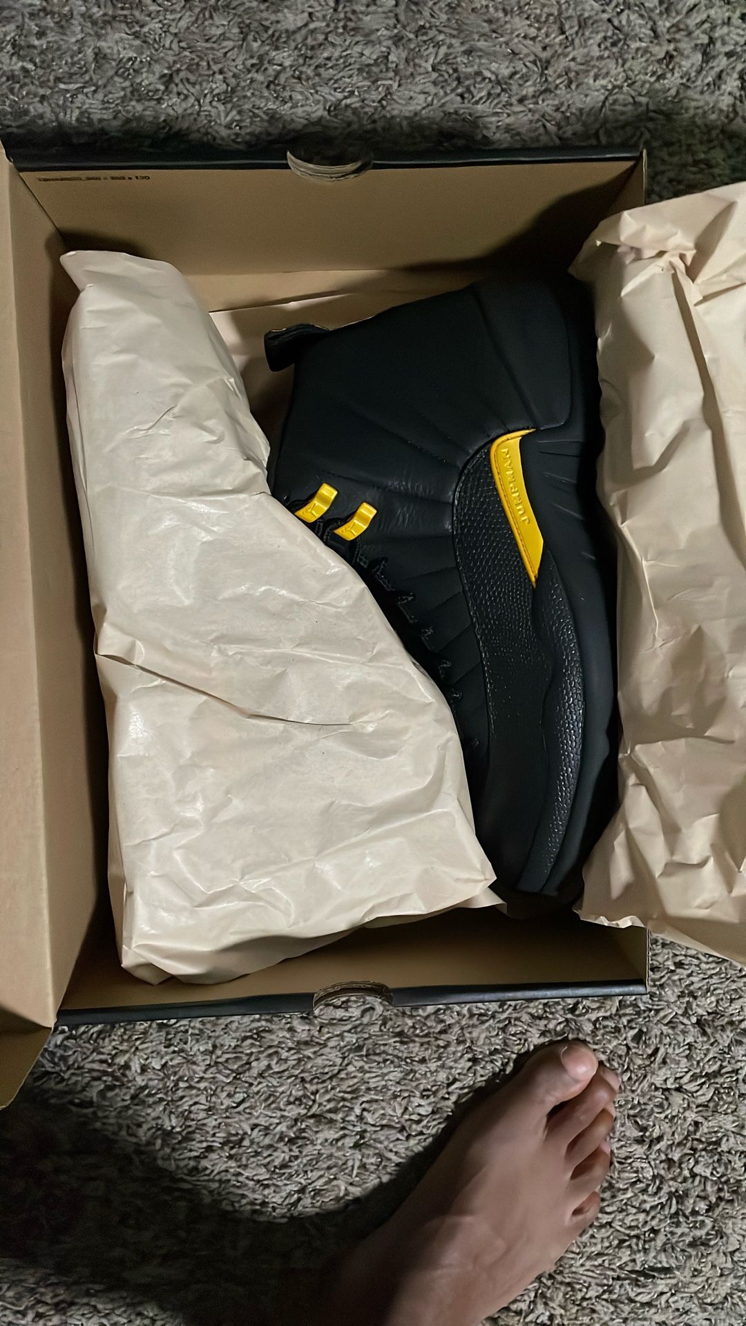 Air Jordan 12 Retro