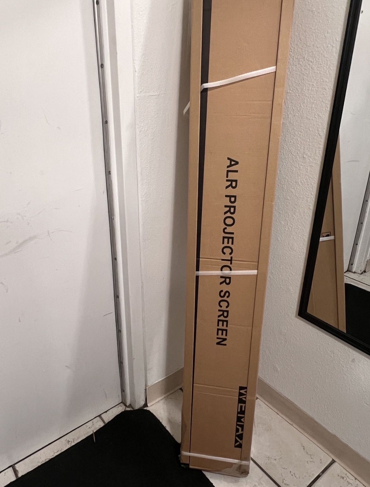 WEMAX Ambient Light Rejection (ALR) projector screen.