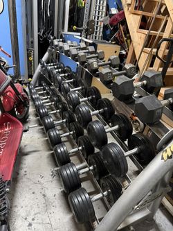 Hoist Dumbbell Set (15-65) And Rack