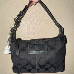 Coach Small Bag