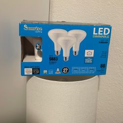 LED Bulbs