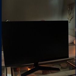 LG Ultragear 24’ 120 HZ Gaming Monitor
