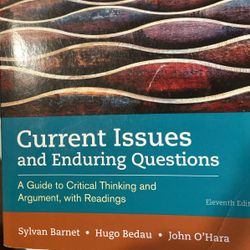 Current Issues And Enduring Questions