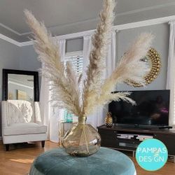 3 Stems Large Dried Real Pampas Grass | Home Decor Centerpiece for tabletops | Dried Pampas Grass