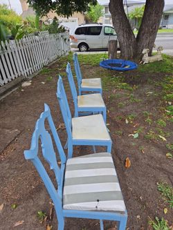 Dinning Room Chairs