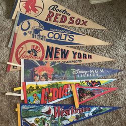 Souvenir  Banners… Vintage 70s And 80s.. Individually Priced…$10 To $65