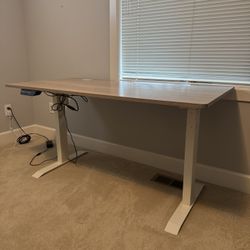 Standing Desk (55x28 Inches Electric Height Adjustable)