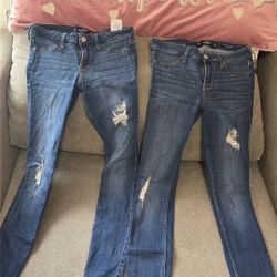 Hollister