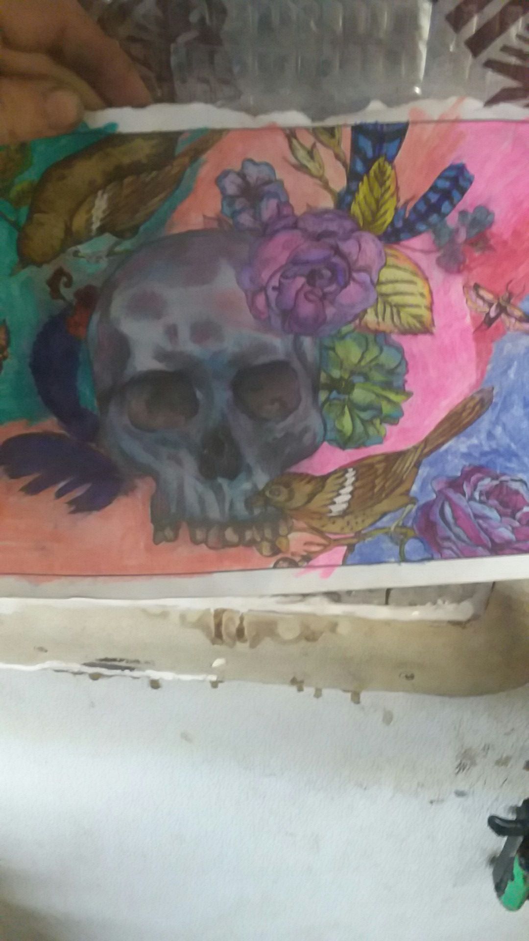 Skull and sparrows coloring