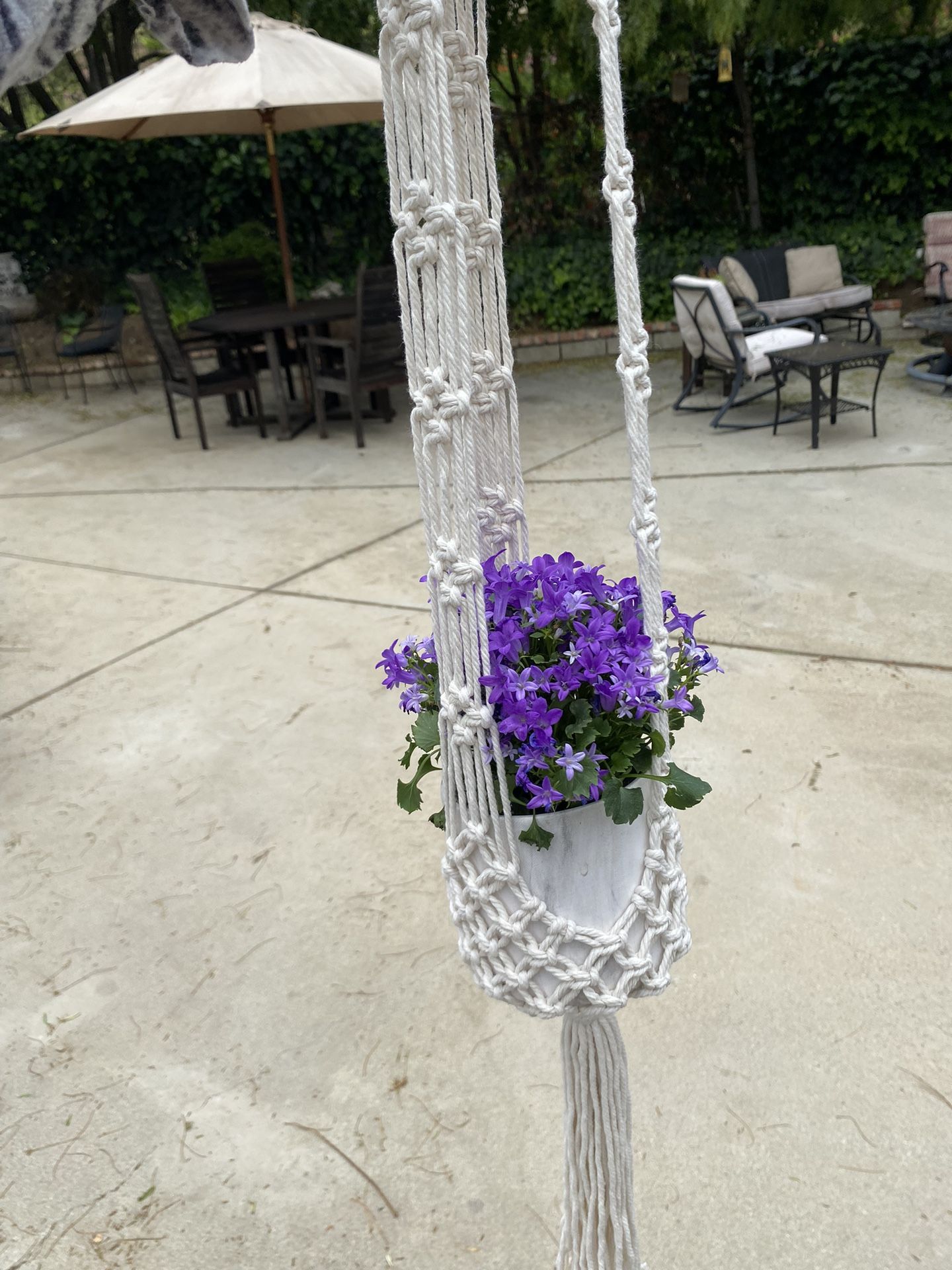 Beautiful Purple Flower In Marble Pot & Macrame Holder Yes This Is Real