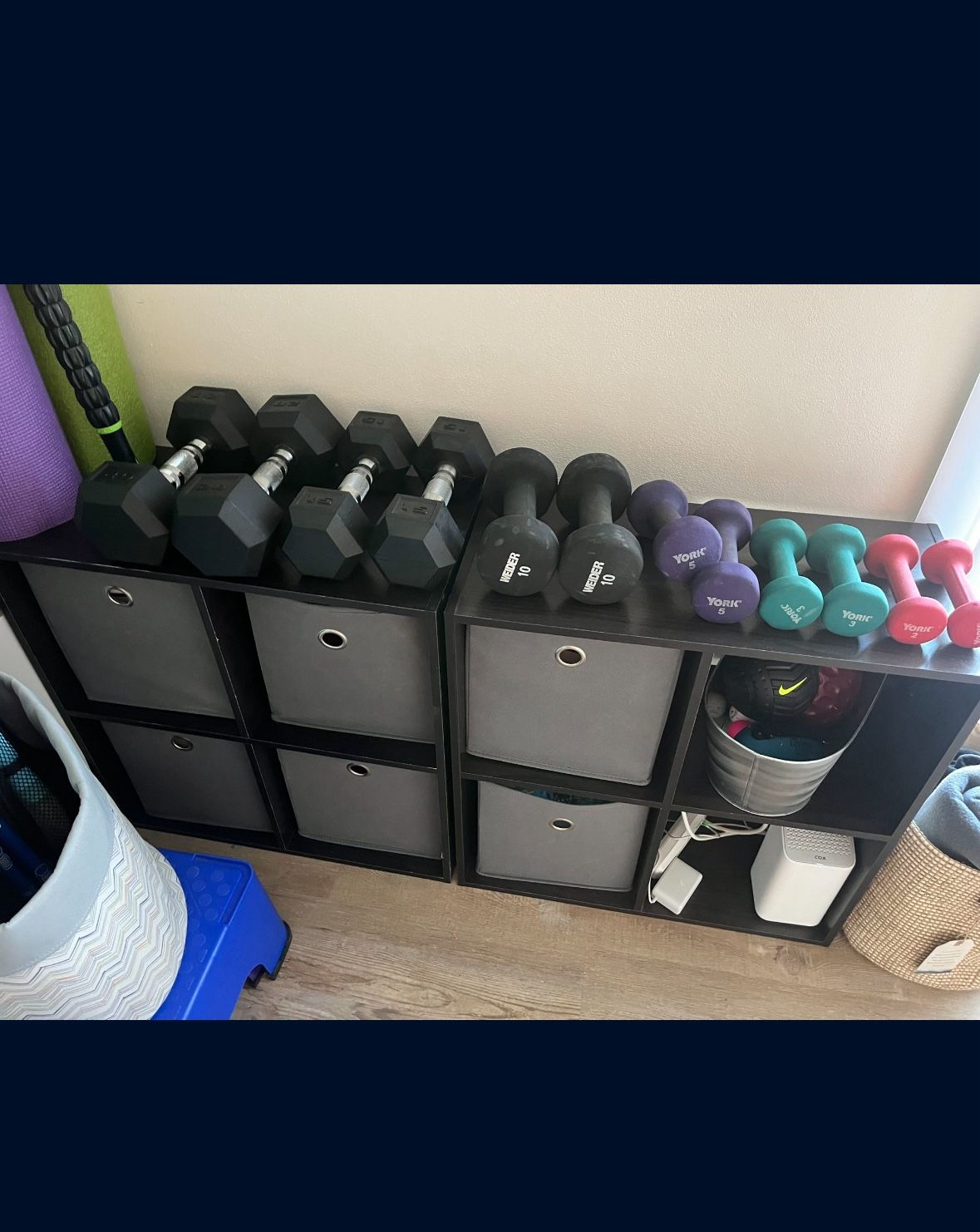 Free Weights / Dumbbells