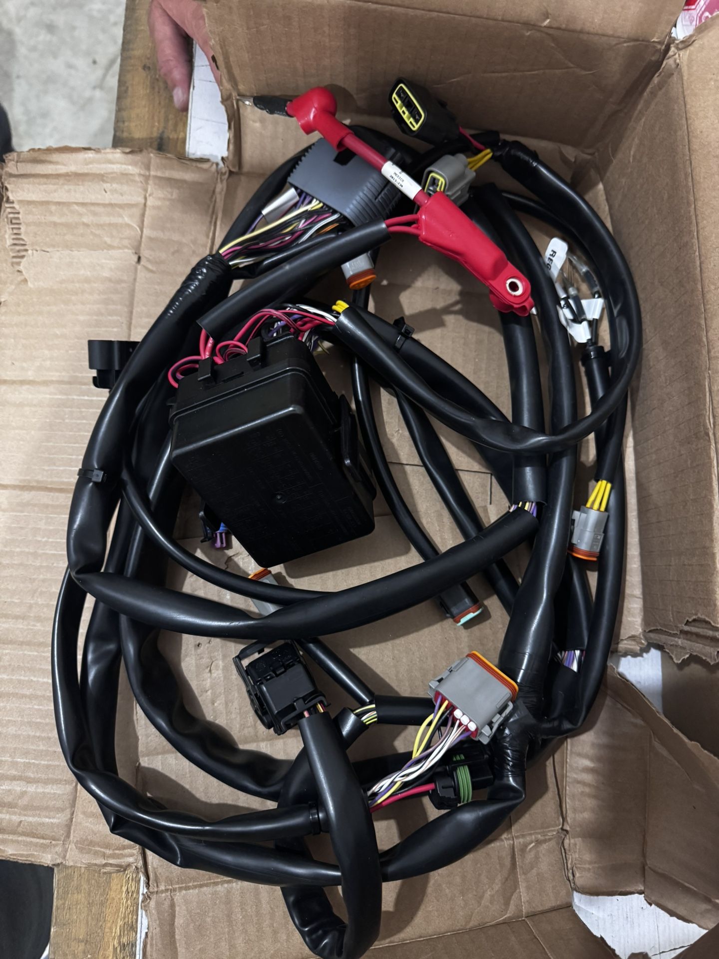 Main Harness, GTS Pour Sea-Doo