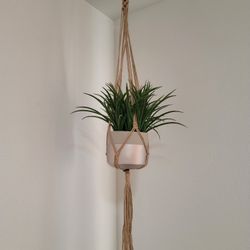 Hanging Plant For SALE 