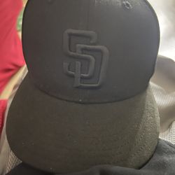 Fitted Hat 