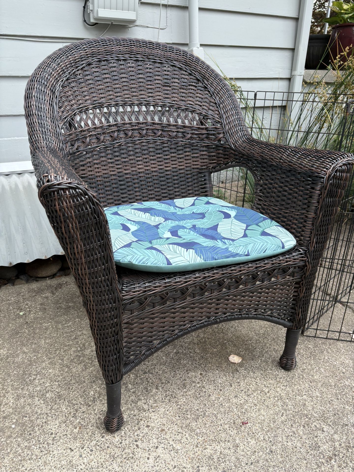 Whicker Chair