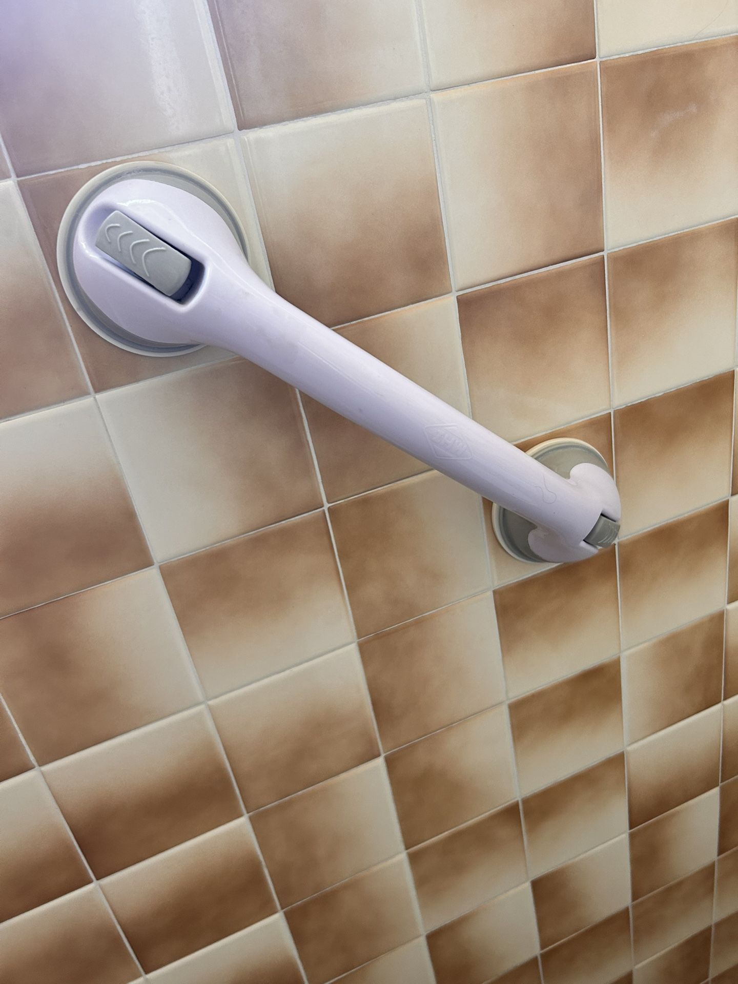 Bathroom Grab Bar for PWD