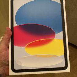 Apple IPad 256GB Wi-Fi   10 Inch 