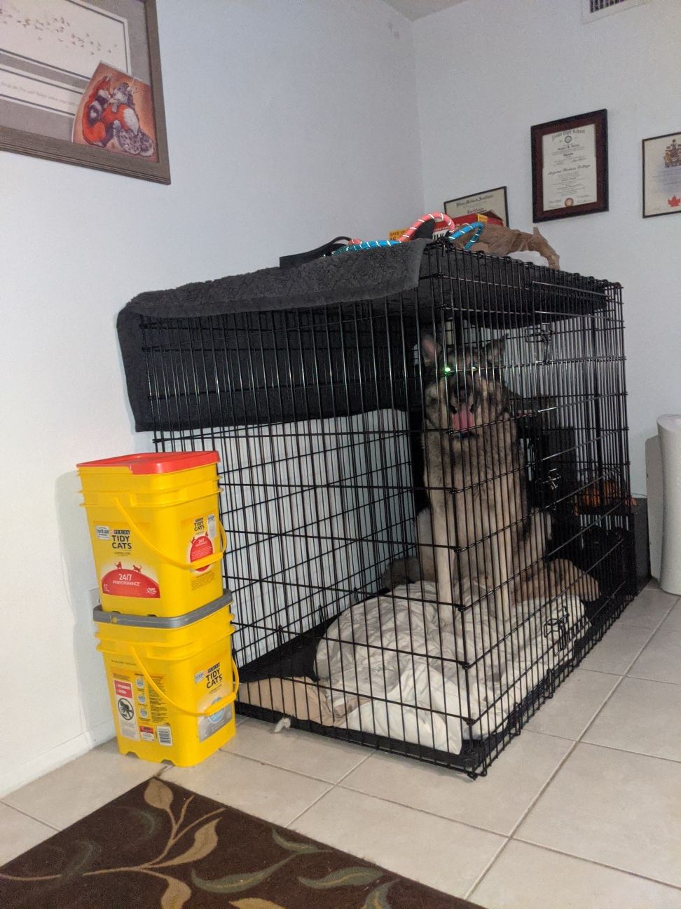 XXL Dog Crate