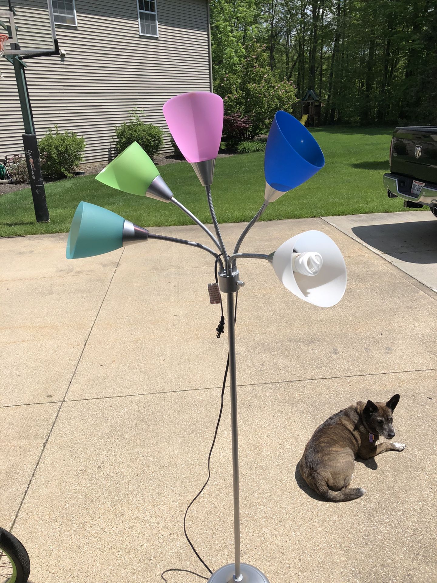 Fun multi-colored floor lamp