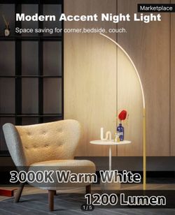 Modern Floor Lamp Brand New