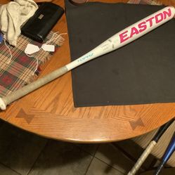 Easton Softball bat Topaz model 31” 21 ounces, -10 drop, Plainfield, Illinois