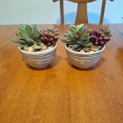 Small Fake Plant