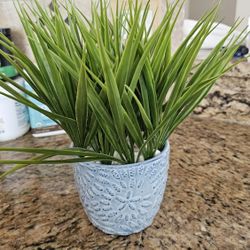 Plant Decoration 