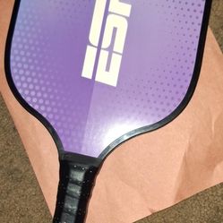 ESPN pickle Ball Board 1 Of 1 $5