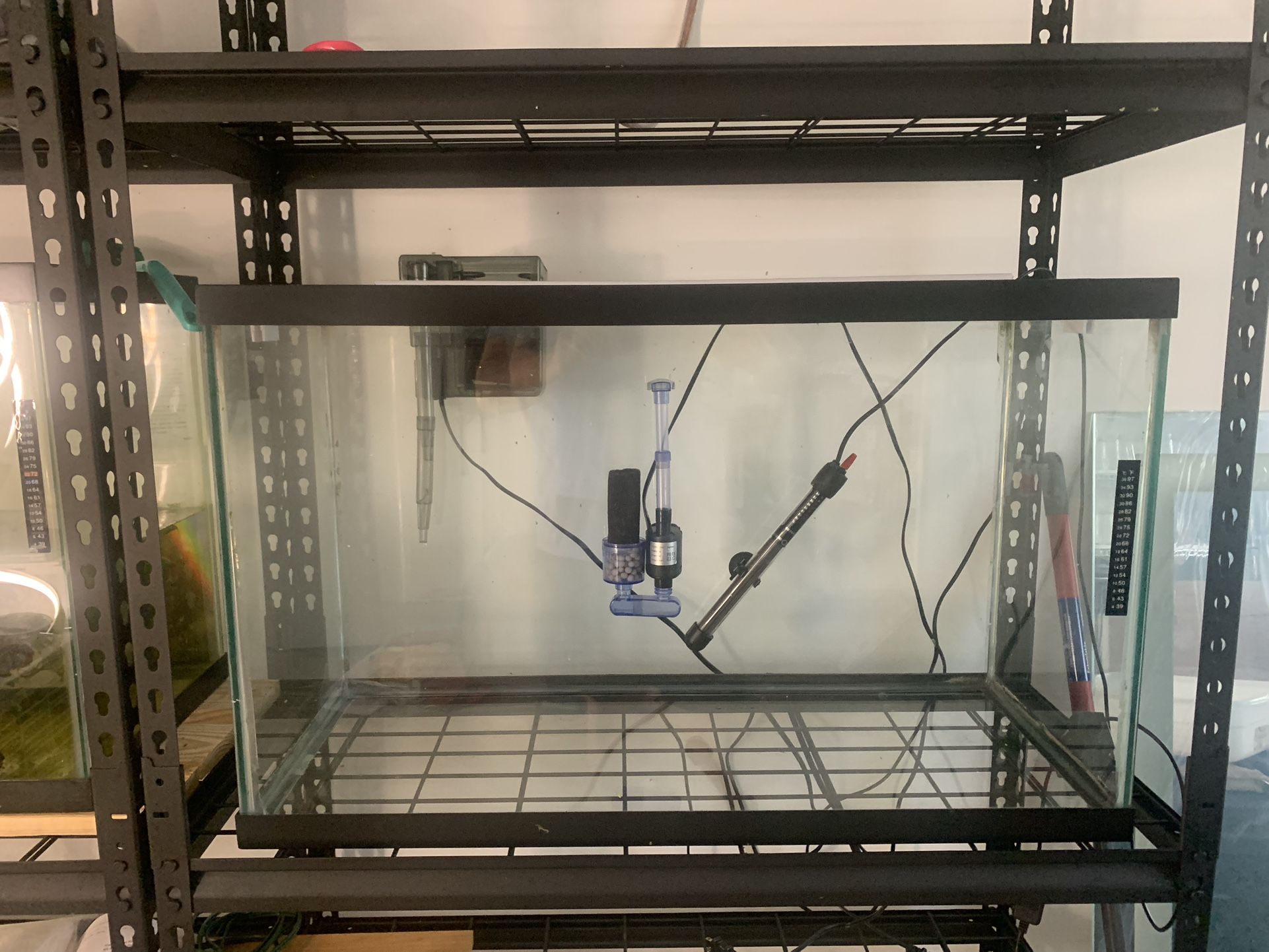 Fish Tank/Aquarium 29 Gal