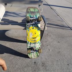 Element Skateboard 