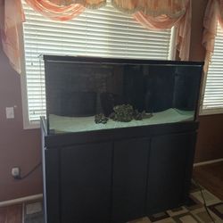 150 Gallon Fish Tank