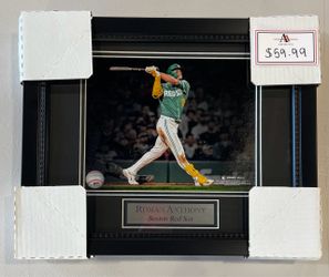 Roman Anthony Boston Red Sox 8x10 Matted Photo Framed 13x16
