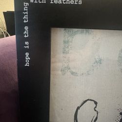 Large Framed Artwork “Hope Is The Thing With Feathers”