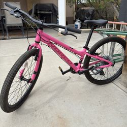 2024 Norco Storm 24”