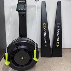 Concept 2 Skierg 