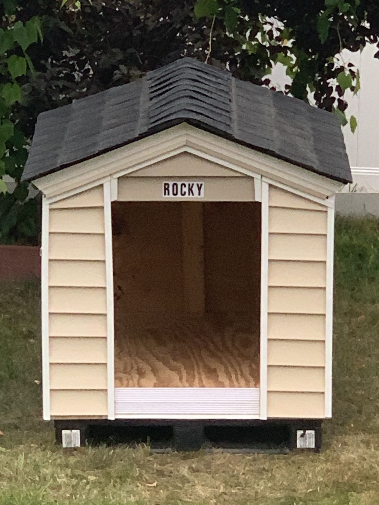 Dog House
